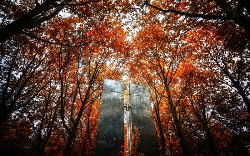 Autumn trees with monument