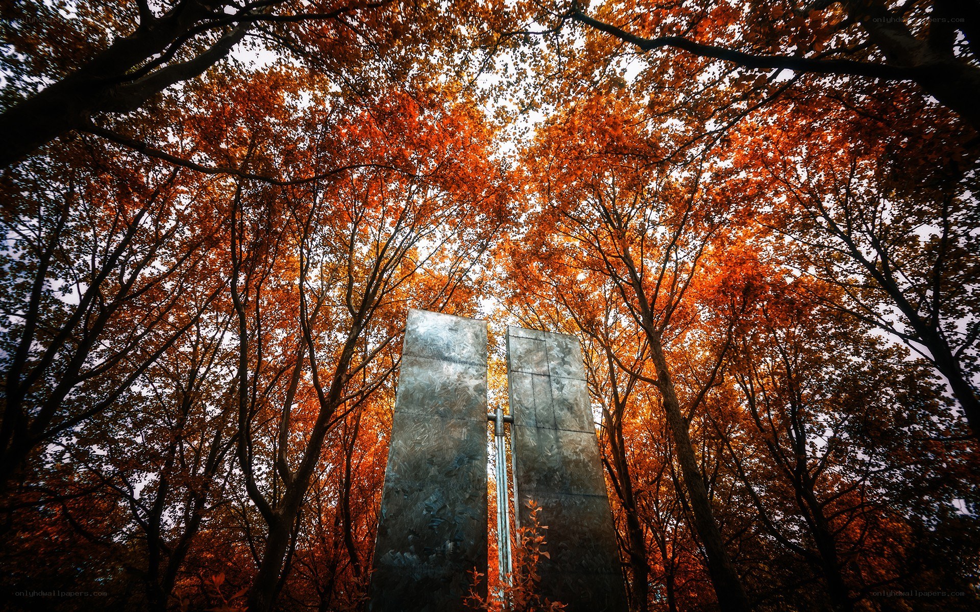 Autumn trees with monument