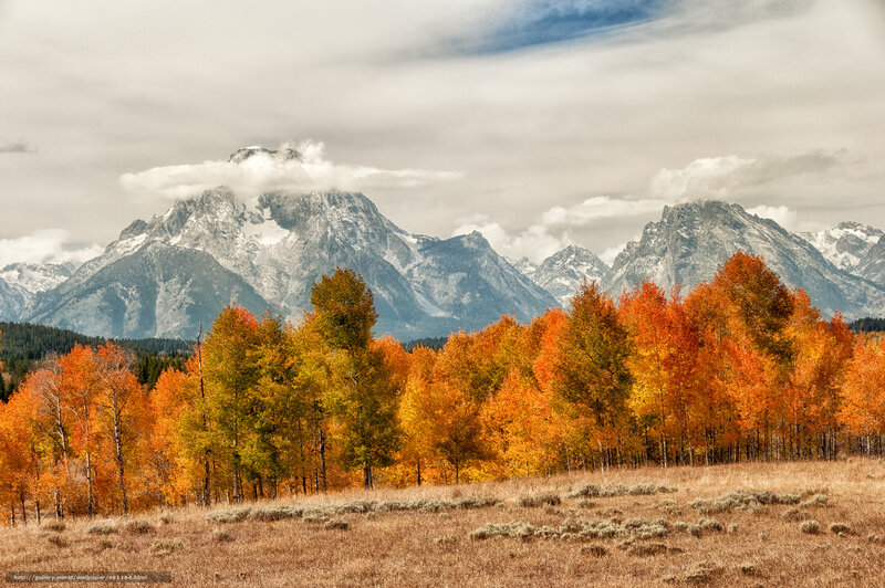 Autumn trees with mountain backdrop