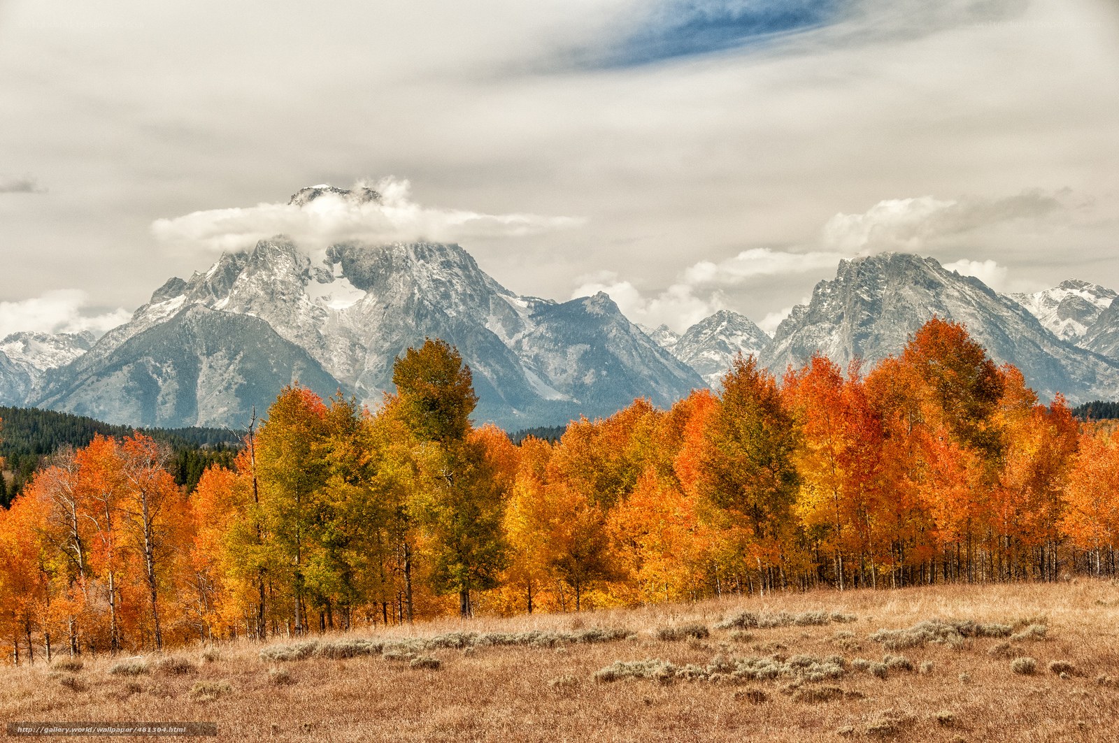 Autumn trees with mountain backdrop
