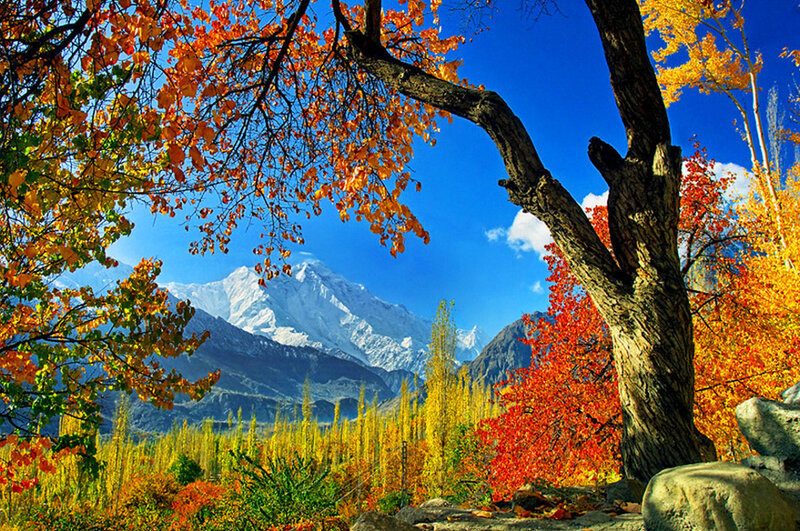 Autumn Trees with Mountain — Blue