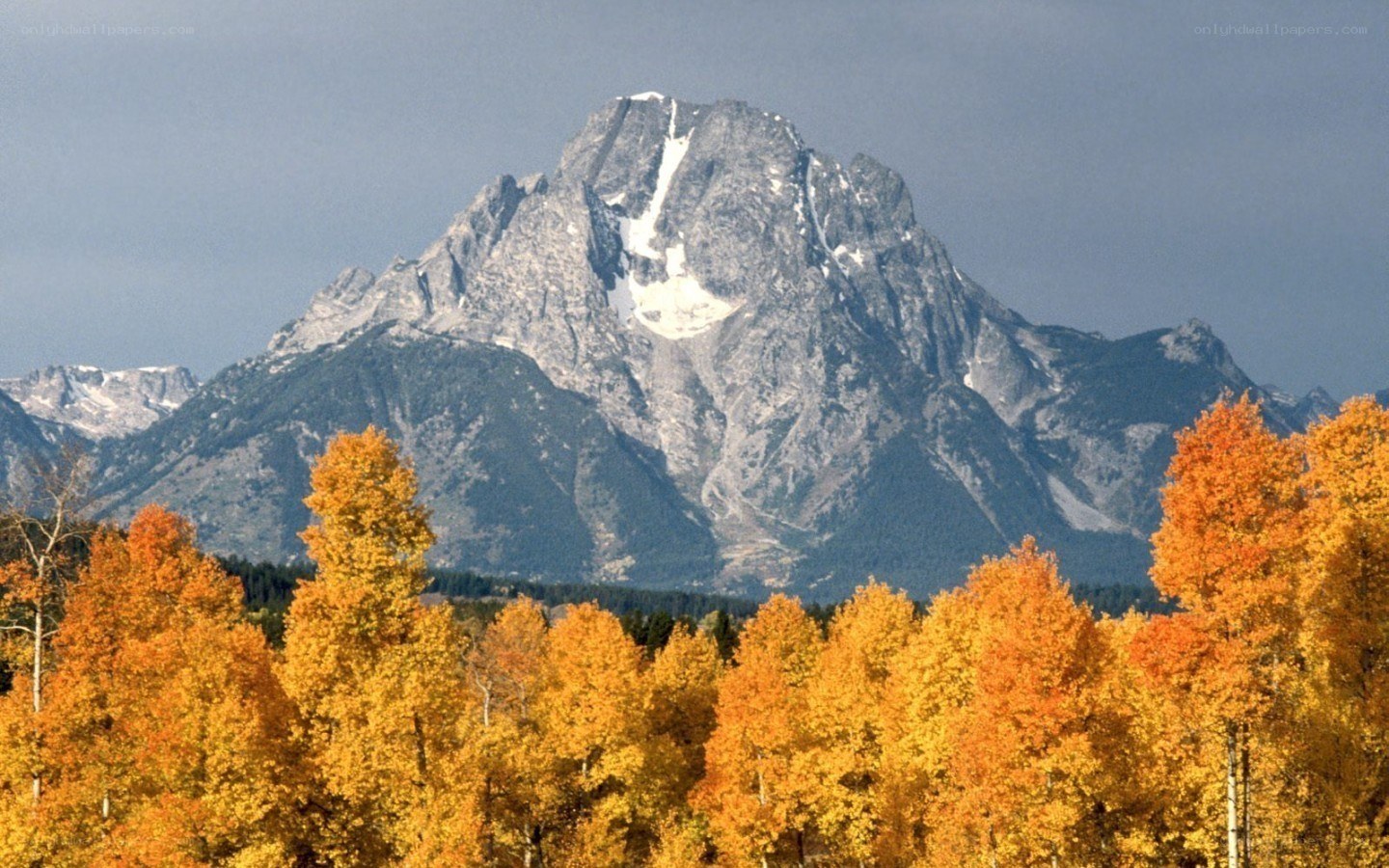 Autumn trees with mountain peak