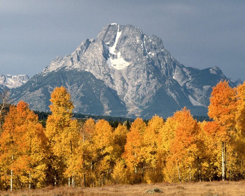Autumn trees with mountain peak