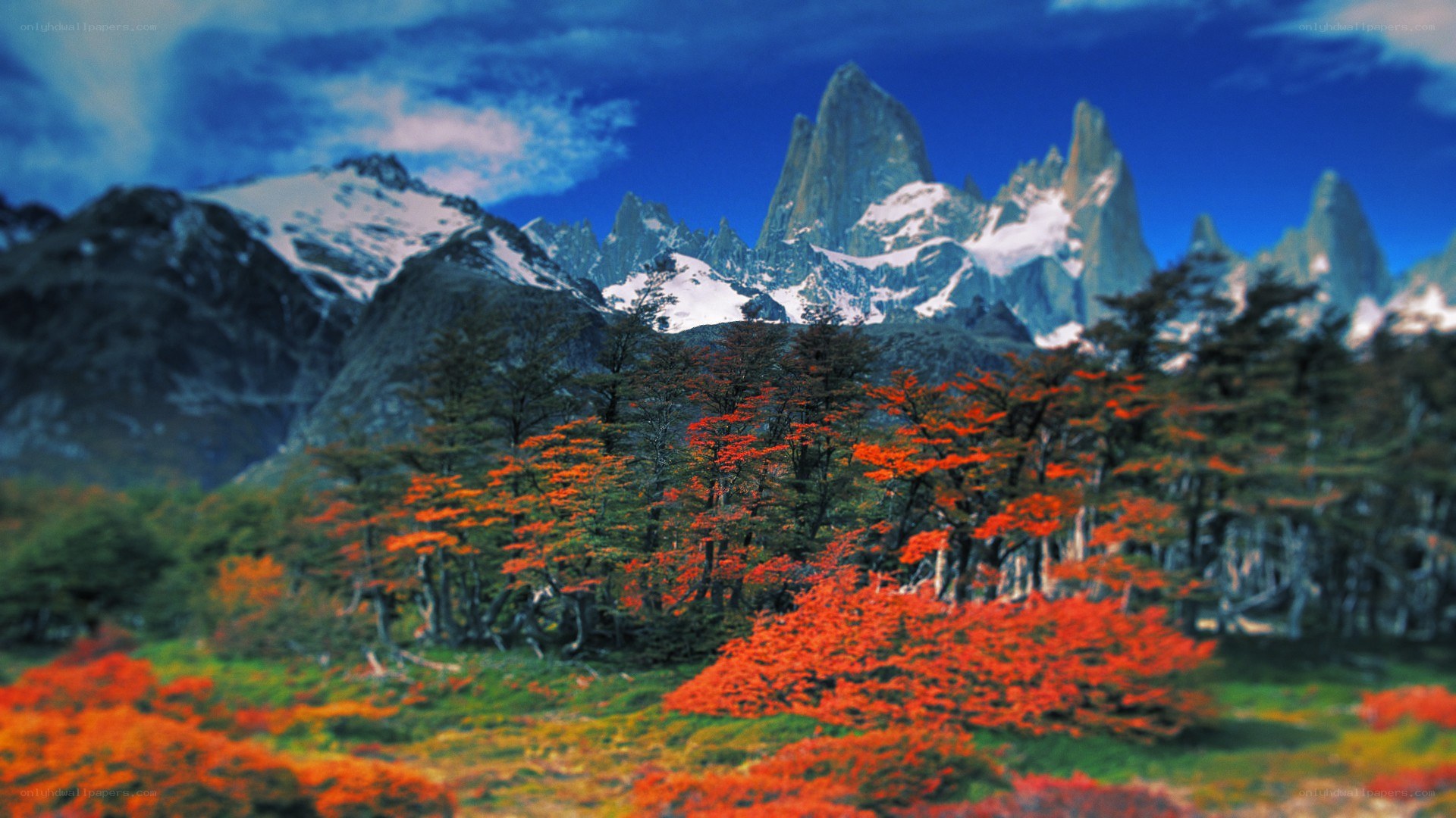 Autumn trees with mountain peaks
