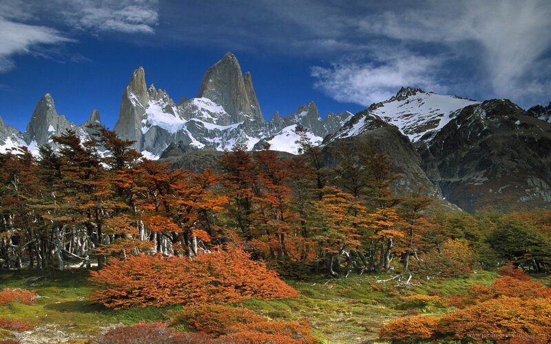 Autumn trees with mountain peaks