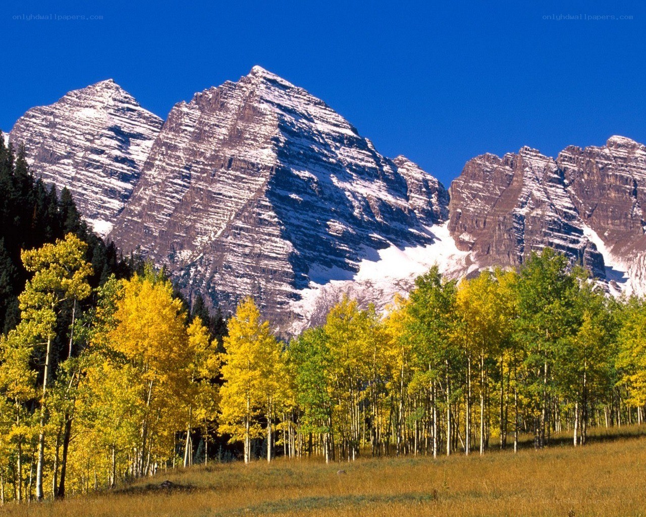 Autumn trees with mountain peaks