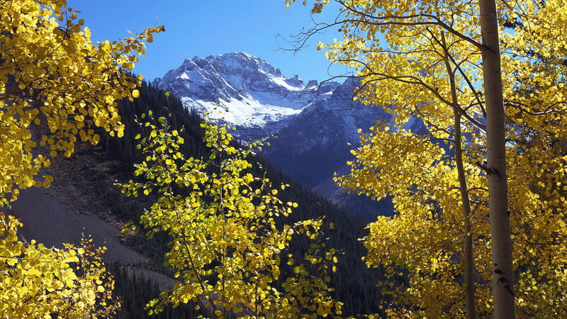 Autumn trees with mountain view