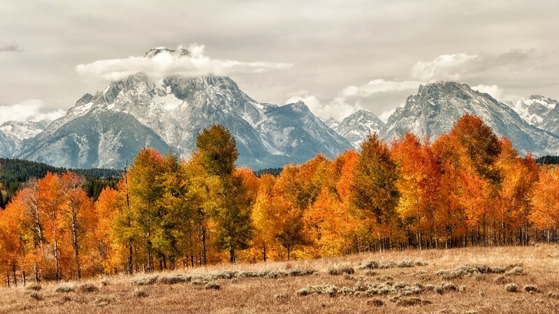 Autumn Trees with Mountains — Orange, Serene, Photograph