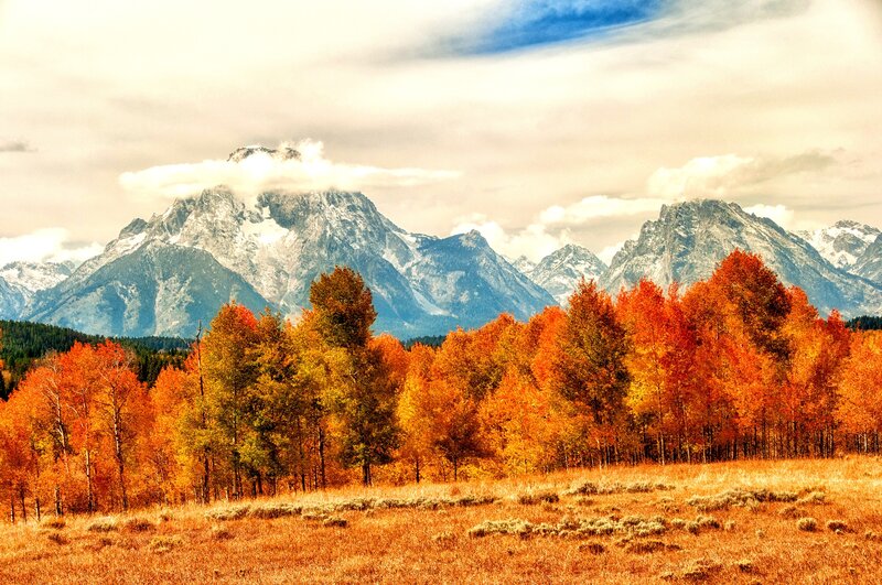 Autumn Trees with Mountains — Orange, Serene