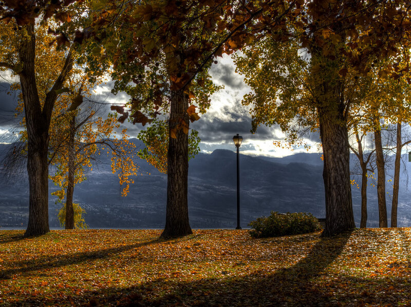 Autumn Trees with Mountains