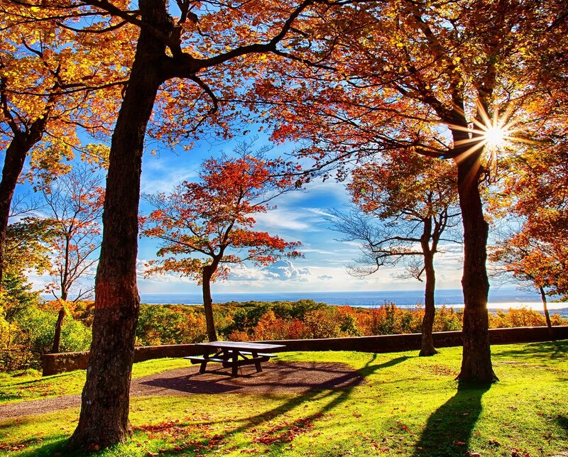 Autumn Trees with Picnic Table
