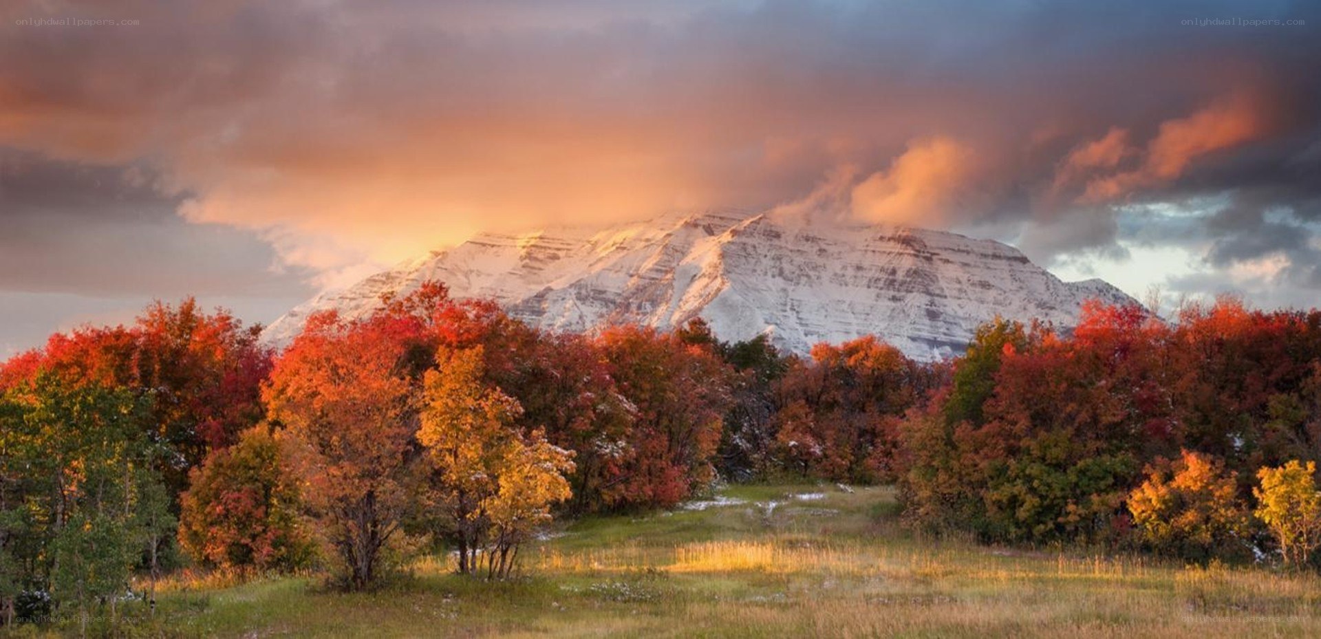 Autumn trees with snow-capped mountain