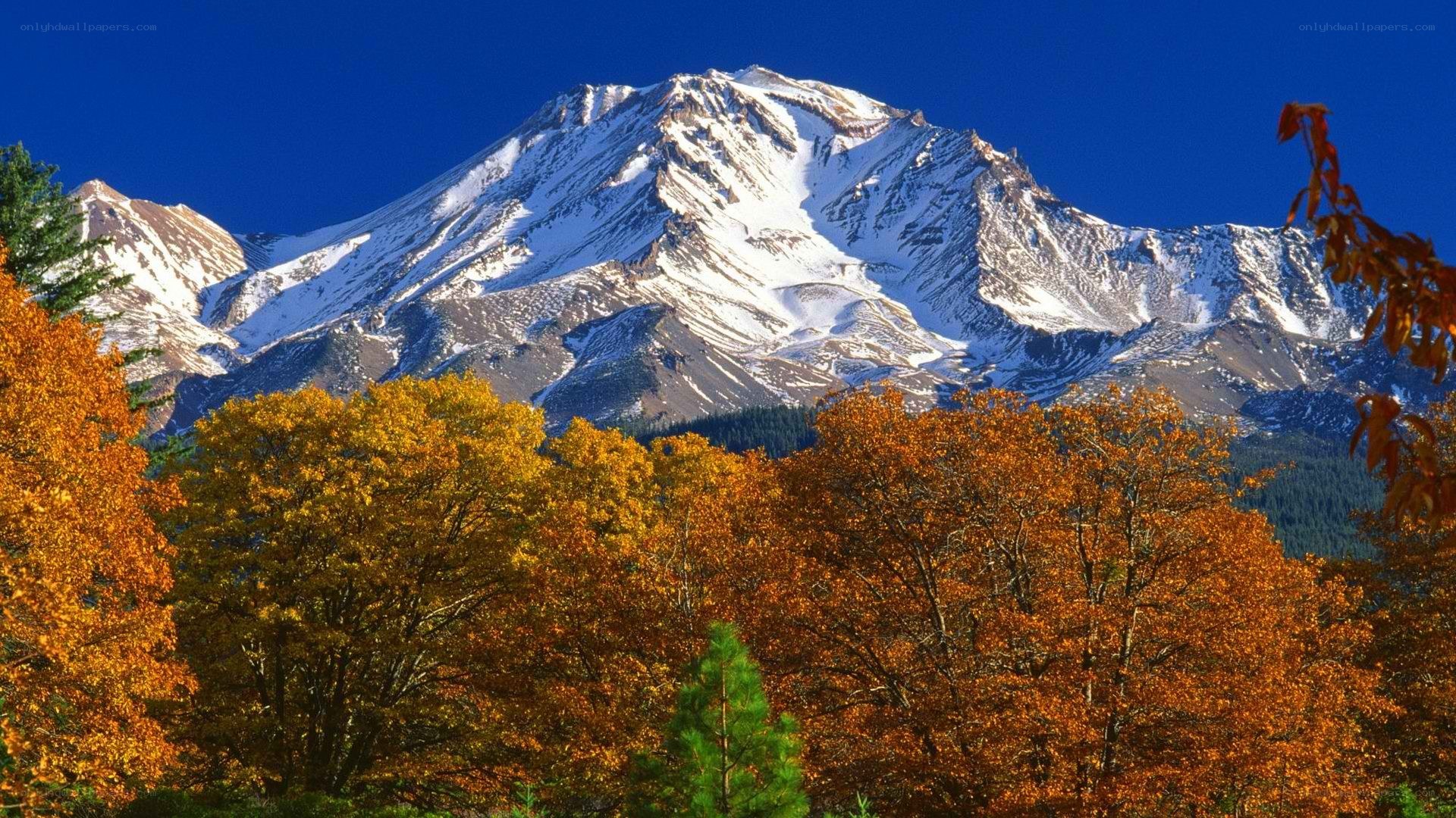 Autumn trees with snow-capped mountain