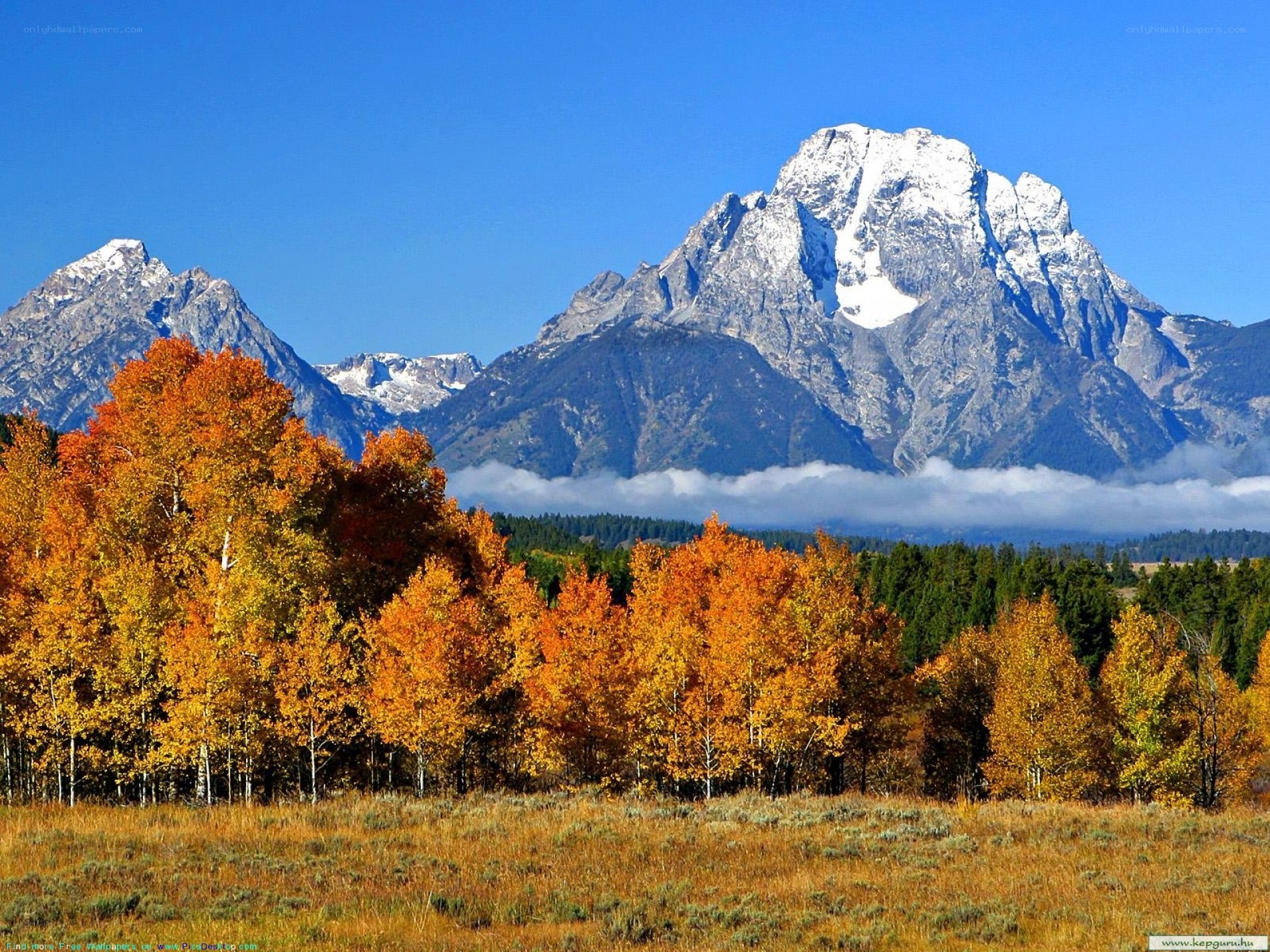 Autumn trees with snow-capped mountains