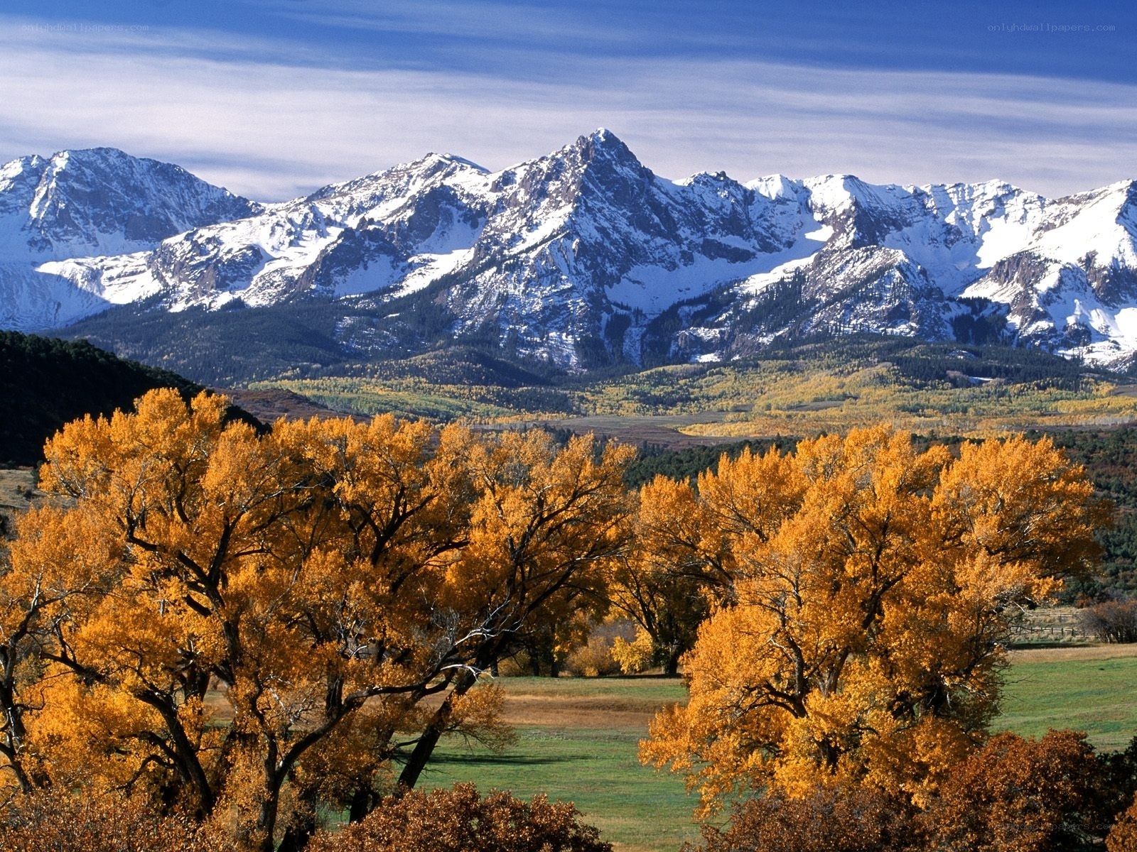 Autumn trees with snow-capped mountains