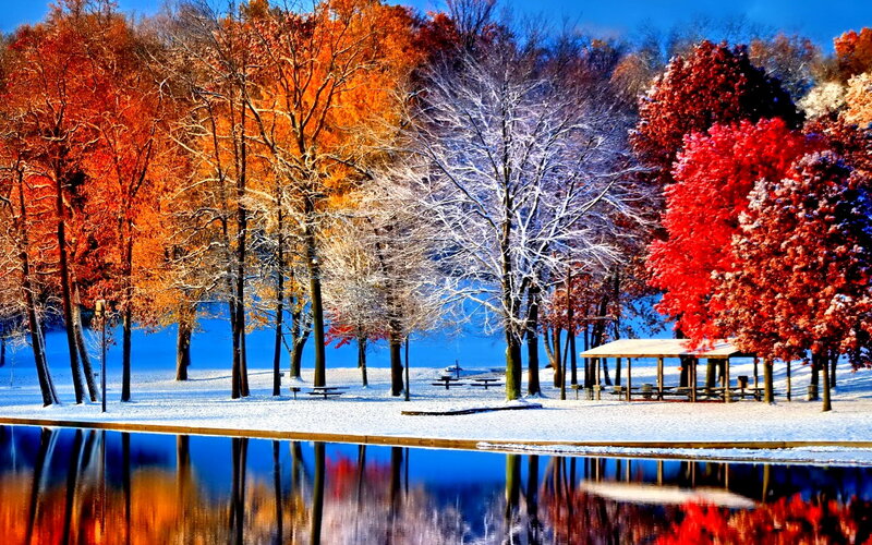 Autumn Trees with Snow