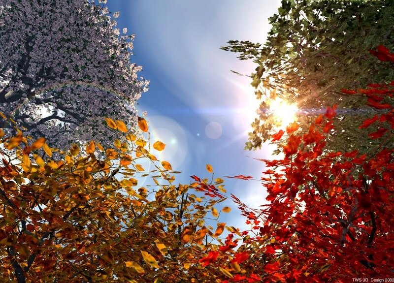 Autumn Trees with Sun