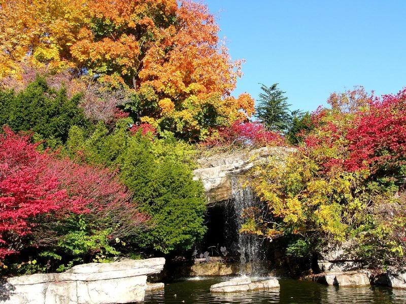 Autumn Trees with Waterfall — Orange