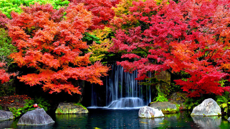 Autumn Trees with Waterfall — Red, Serene, Photograph
