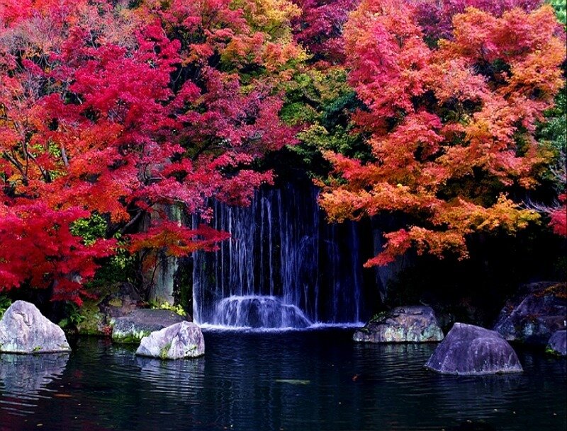 Autumn Trees with Waterfall — Red, Serene