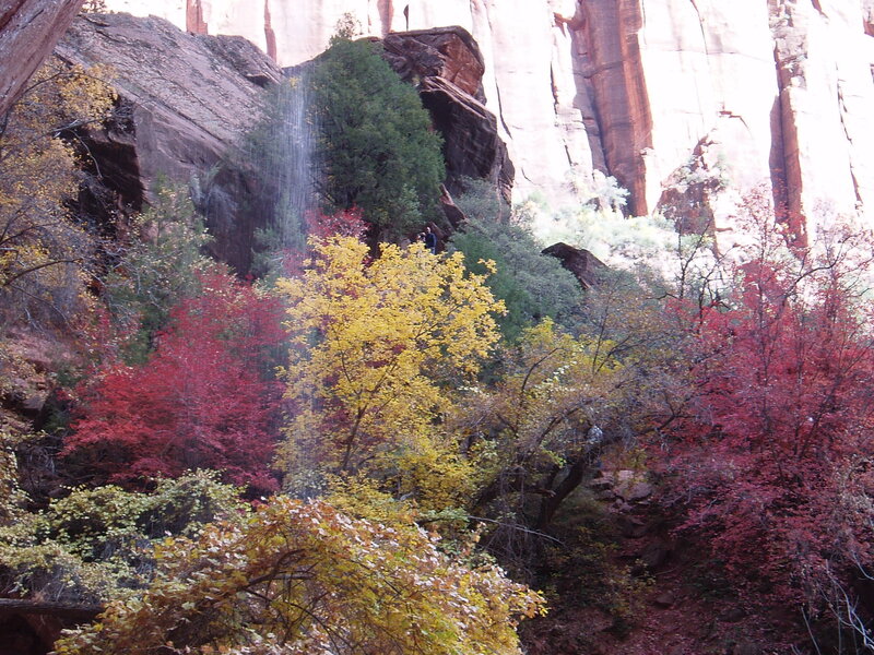 Autumn Trees with Waterfall — Red