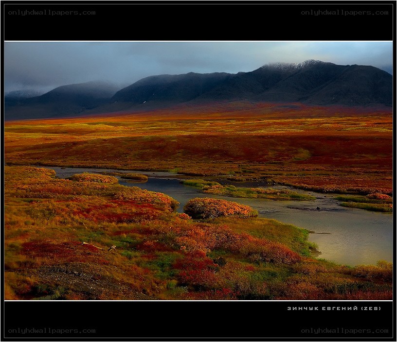 Autumn tundra landscape
