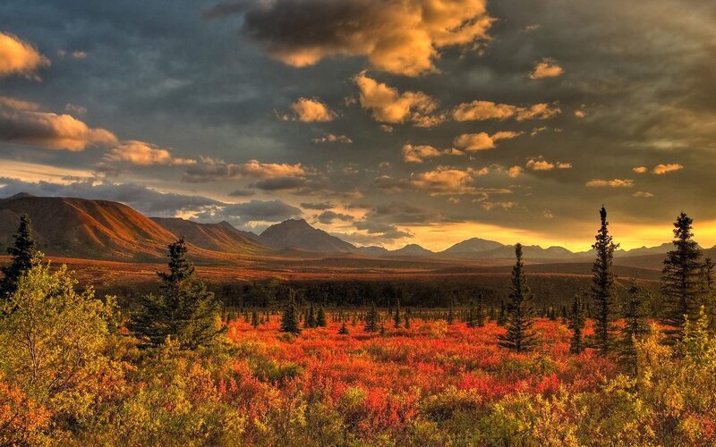 Autumn tundra landscape
