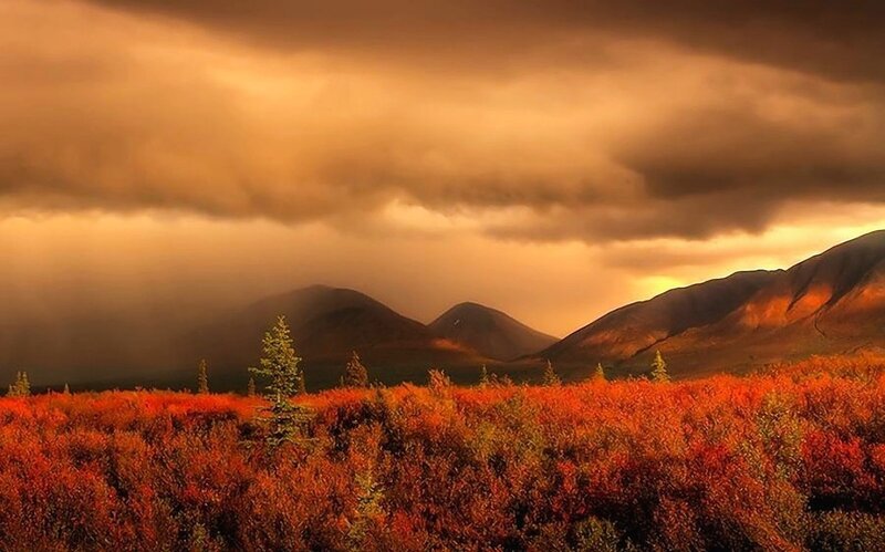 Autumn Tundra Landscape — Orange, Dramatic, Sunset