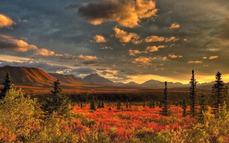 Autumn Tundra Landscape — Orange