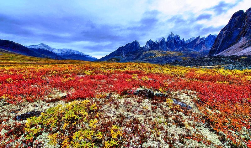 Autumn Tundra Landscape — Red, Dramatic, Photograph, Mountains