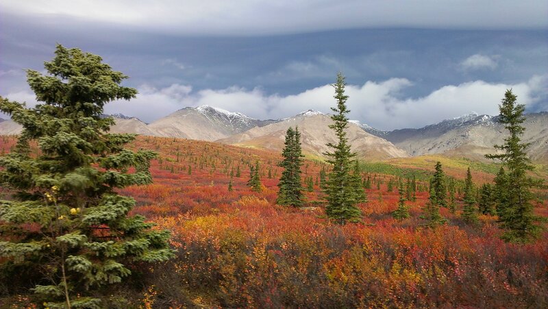 Autumn Tundra Landscape — Red, Dramatic, Photograph, Mountains, Trees