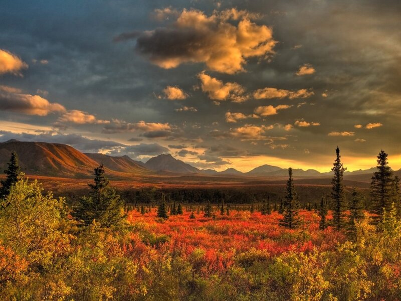 Autumn Tundra Landscape — Red, Dramatic, Sunset