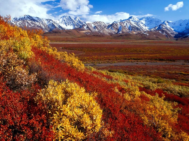 Autumn Tundra Landscape — Red, Serene, Photograph, Mountains, Snow, River
