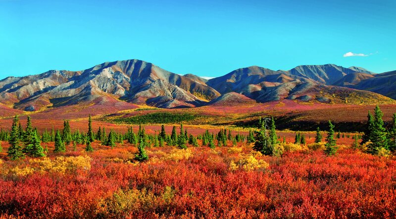Autumn Tundra Landscape — Red, Serene, Photograph, Mountains