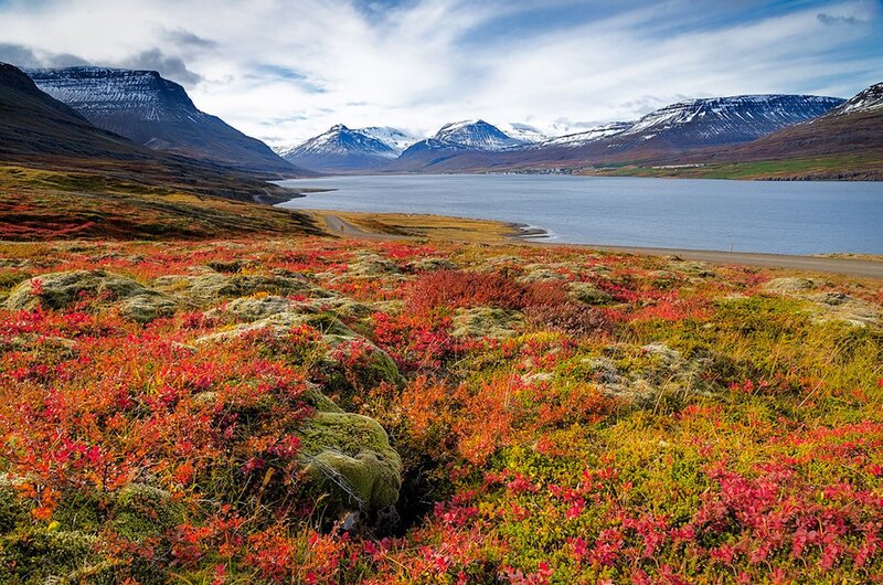 Autumn Tundra Landscape — Red, Serene