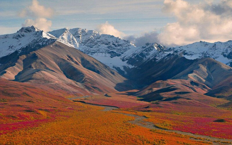 Autumn Tundra Landscape — Red