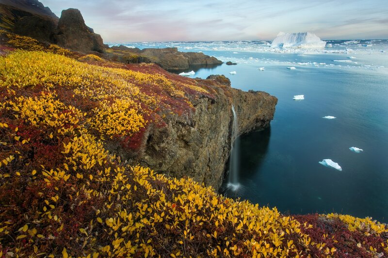 Autumn Tundra Landscape — Yellow