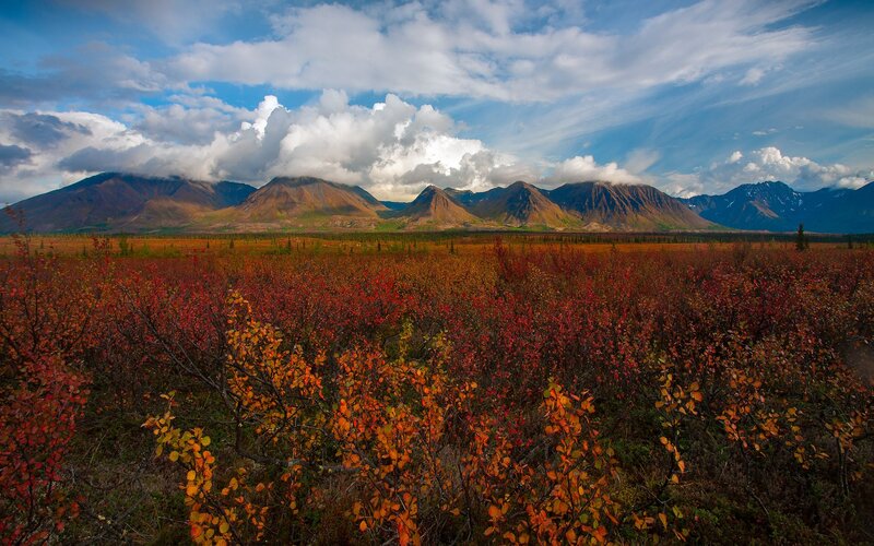 Autumn tundra with mountains