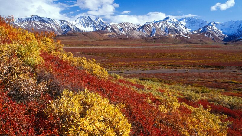 Autumn tundra with snow-capped mountains