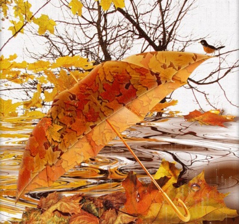 Autumn Umbrella in Water
