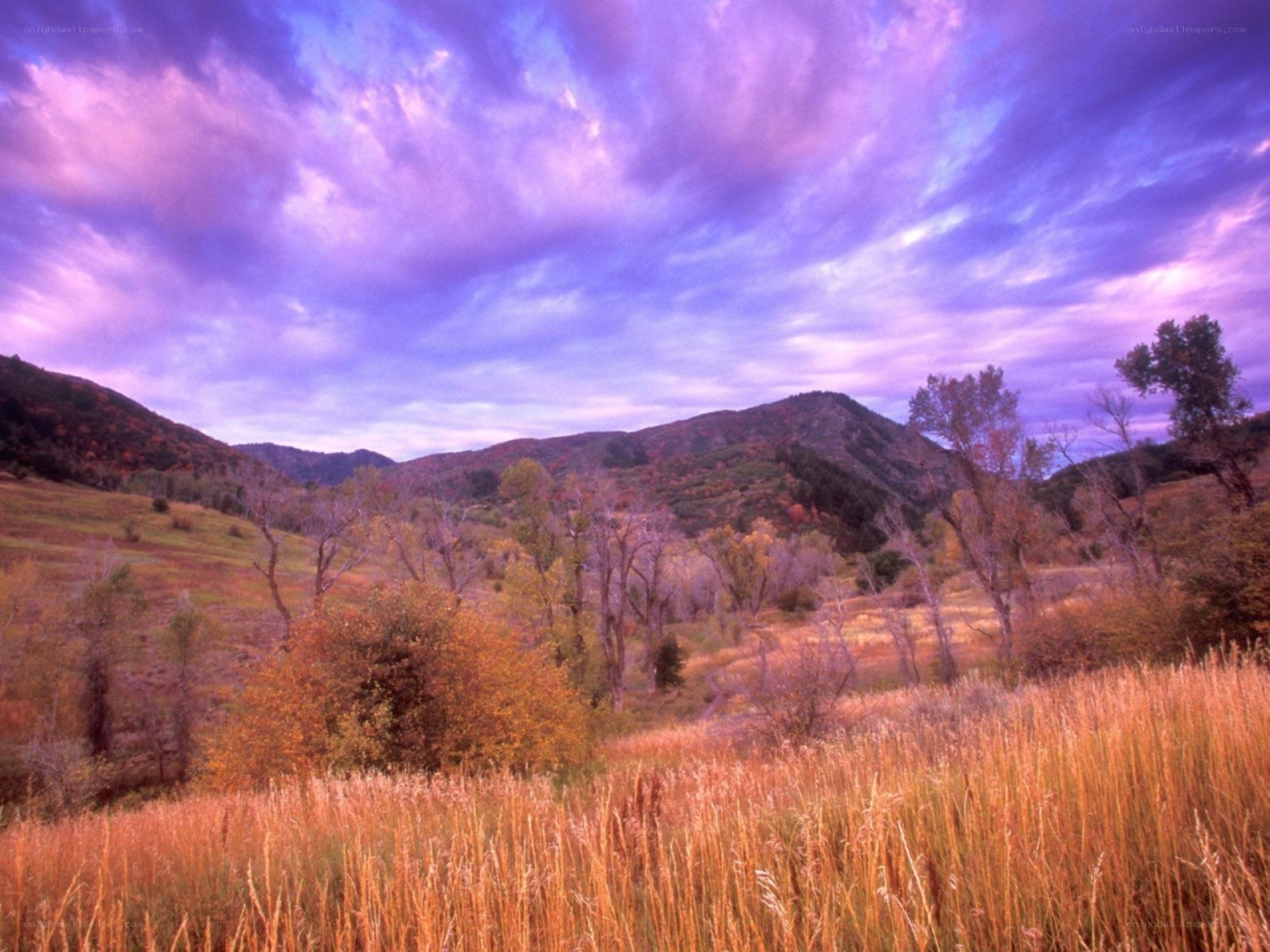 Autumn valley at dusk