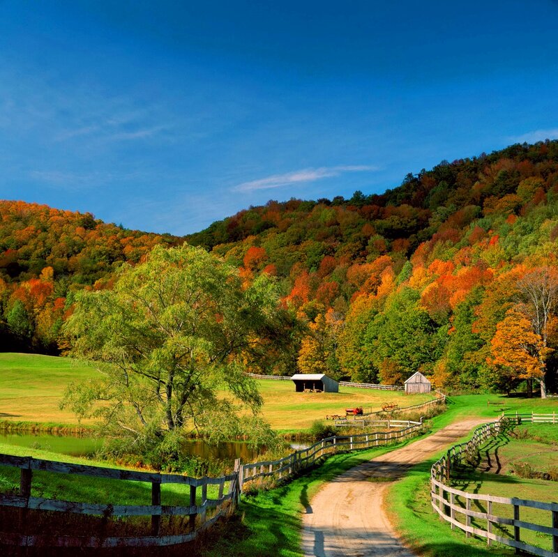 Autumn Valley Farm
