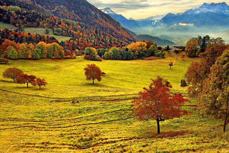 Autumn Valley Landscape — Green