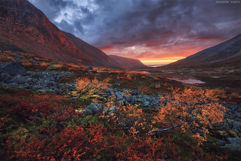 Autumn Valley Landscape — Orange, Dramatic