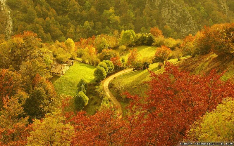 Autumn Valley Landscape — Red, Serene