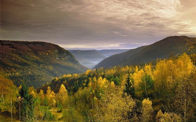 Autumn Valley Landscape — Yellow
