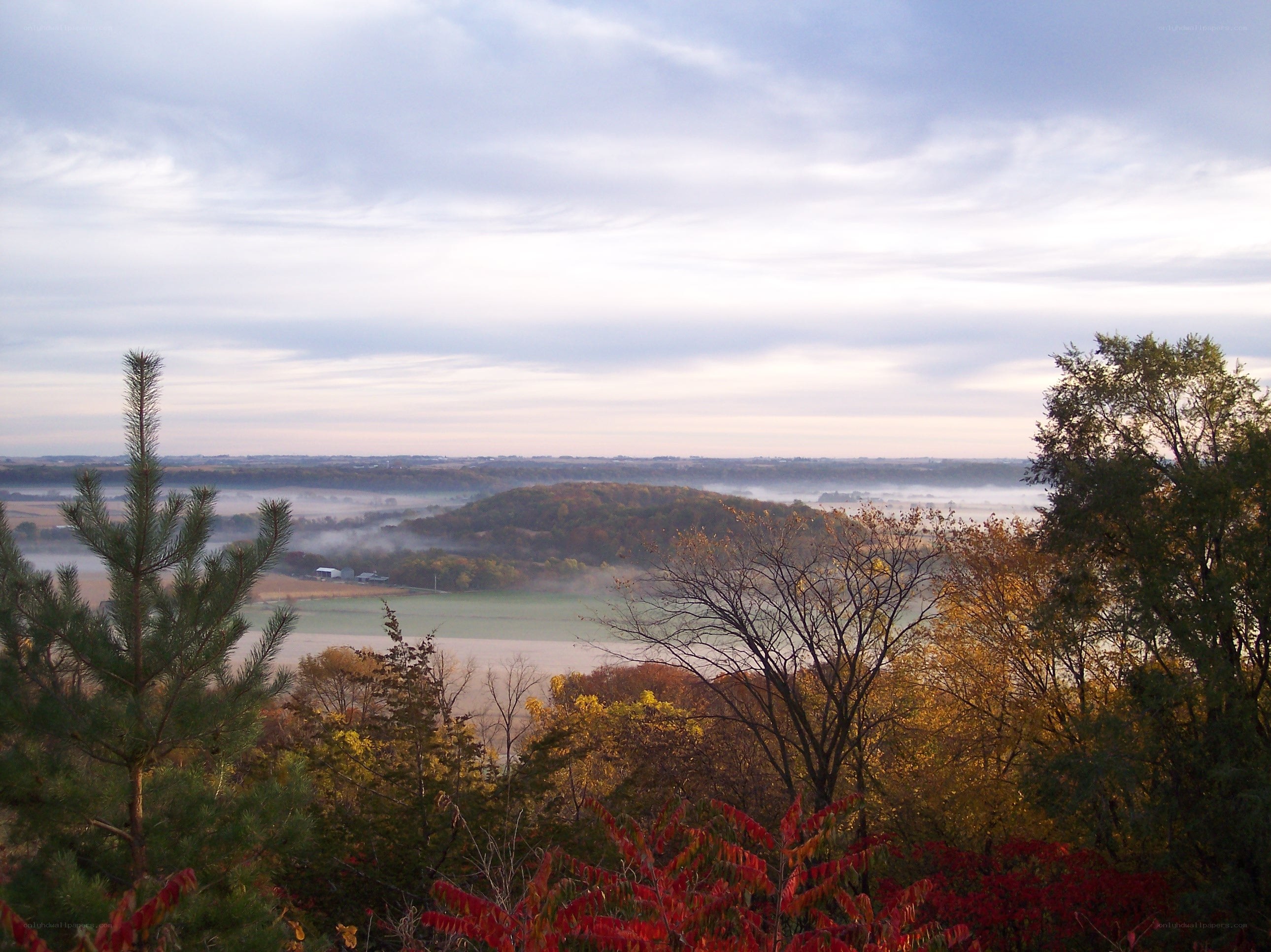 Autumn valley mist view