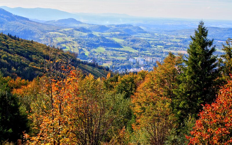 Autumn valley view from mountain