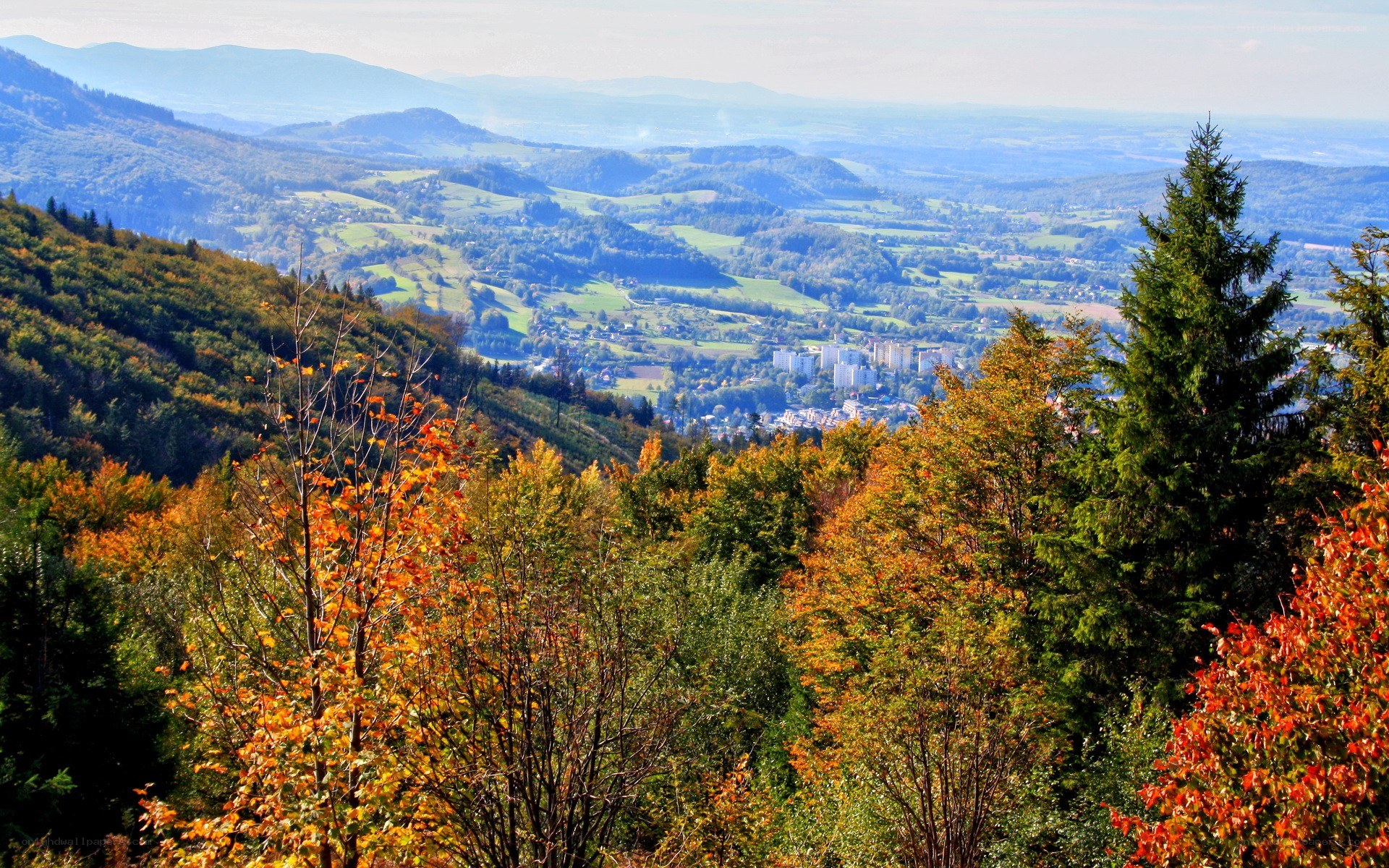 Autumn valley view from mountain