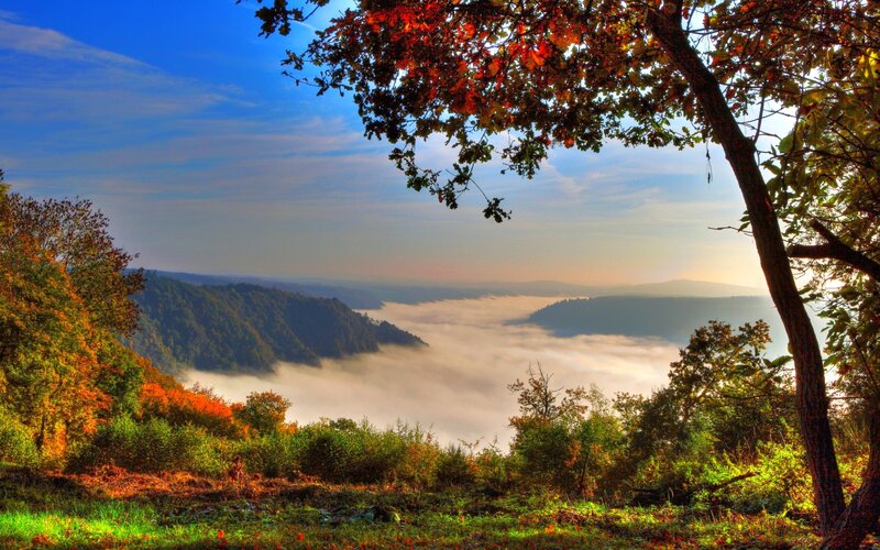 Autumn Valley with Fog — Blue